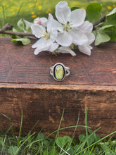 Load image into Gallery viewer, Shadowbox Palomino Ring Size 6