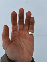 Load image into Gallery viewer, Silver Moth Size 5.25