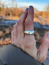 Load image into Gallery viewer, Goldfill Fish Size 8
