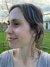 Load image into Gallery viewer, Lilac Studs
